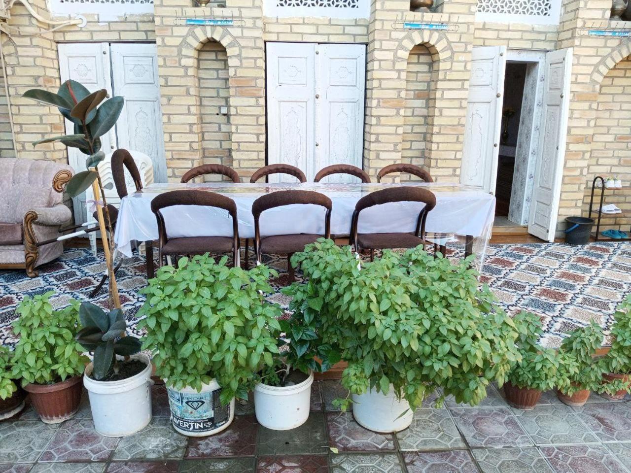 Sohibqiron Boutique Hotel Buchara Buitenkant foto